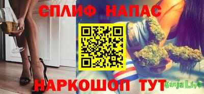jwh Будённовск