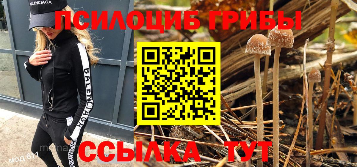 Псилоцибиновые грибы Cubensis  Вход с VPN  Рузаевка  Галлюциногенные грибы прущие грибы 
